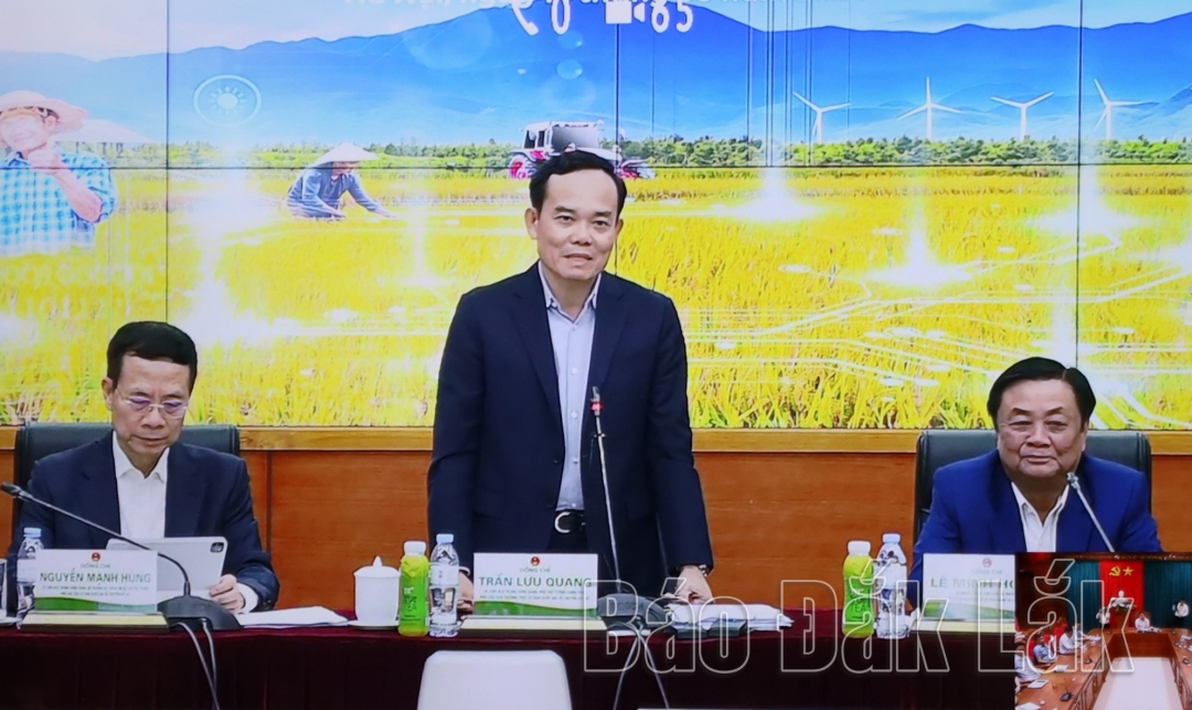 Phó Thủ tướng Chính phủ, Phó Chủ tịch thường trực Ủy ban Quốc gia về chuyển đổi số Trần Lưu Quang phát biểu tại hội nghị (Ảnh chụp qua màn hình).