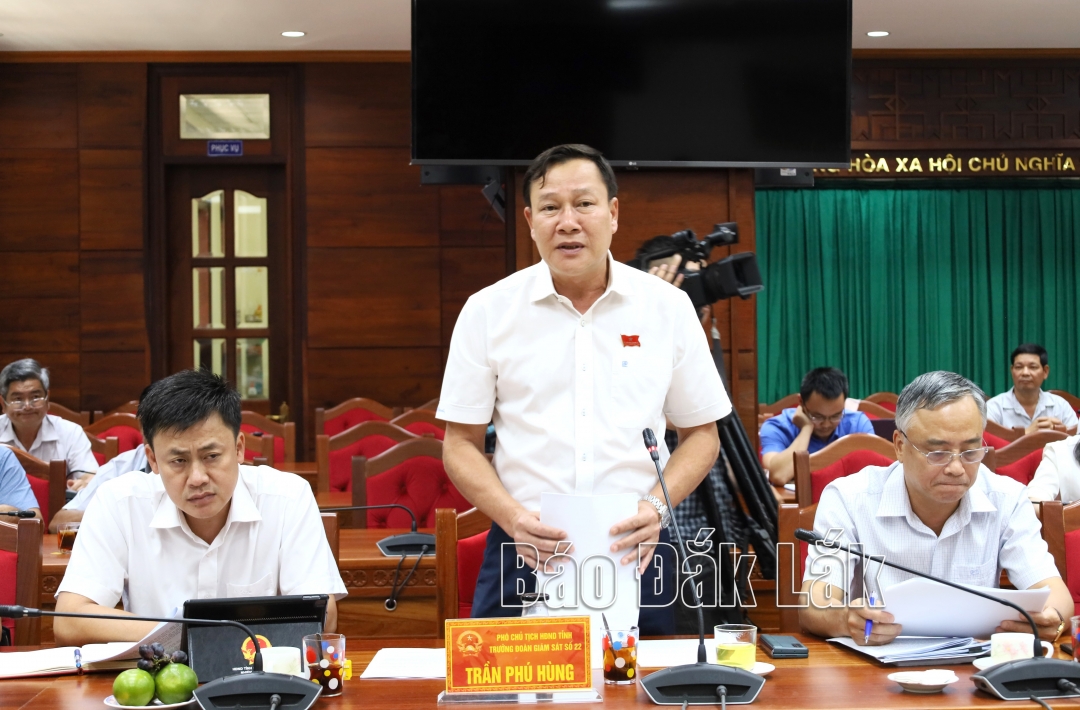 Phó Chủ tịch HĐND tỉnh Trần Phú Hùng phát biểu ý kiến.