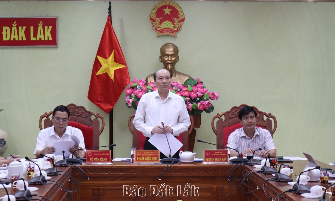 Chủ tịch UBND tỉnh Phạm Ngọc Nghị phát biểu kết luận tại buổi làm việc.