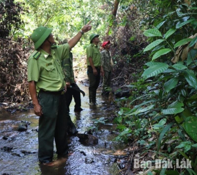 Lực lượng quản lý bảo vệ rừng của Ban quản lý Rừng phòng hộ Núi Vọng Phu tuần tra giữ rừng