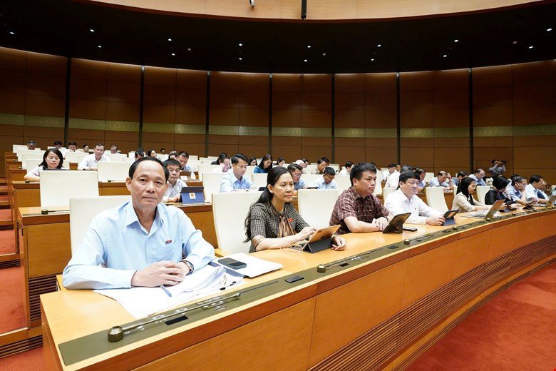 Đại biểu tham dự phiên làm việc. Ảnh: quochoi.vn
