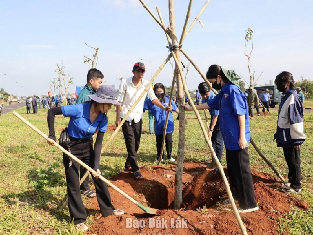 Đoàn viên thanh niên trồng cây xanh trên địa bàn TP. Buôn Ma Thuột