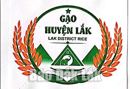 Mẫu nhận diện nhãn hiệu gạo huyện Lắk.