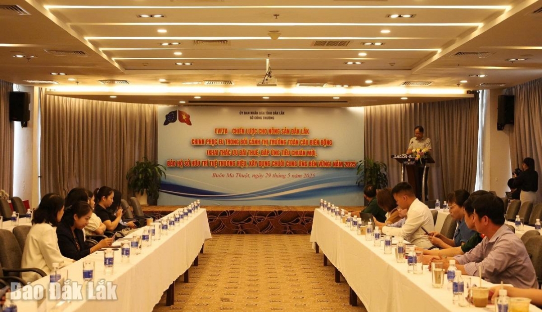 Các đại biểu tham dư hội nghị.