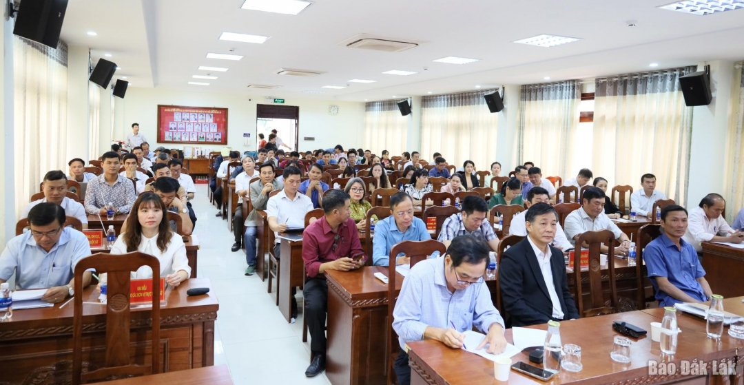 Các đại biểu tham dự hội nghị.