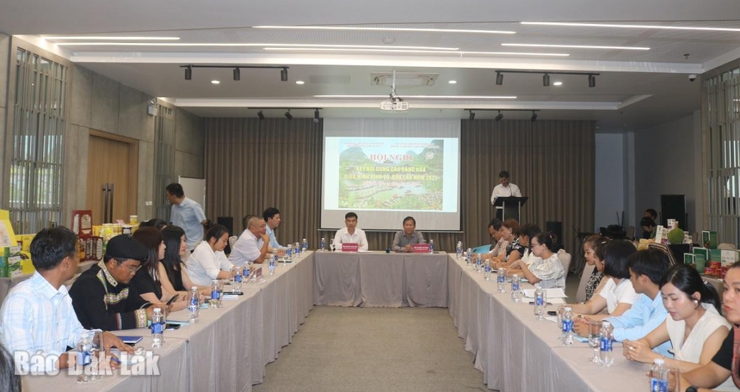 Các đại biểu tham dự hội nghị.