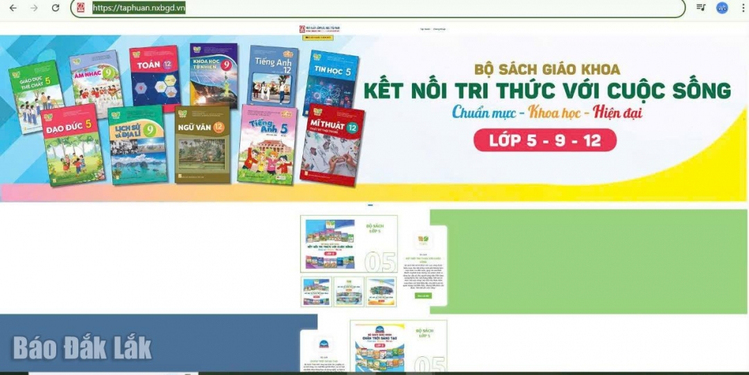 Trang cung cấp
