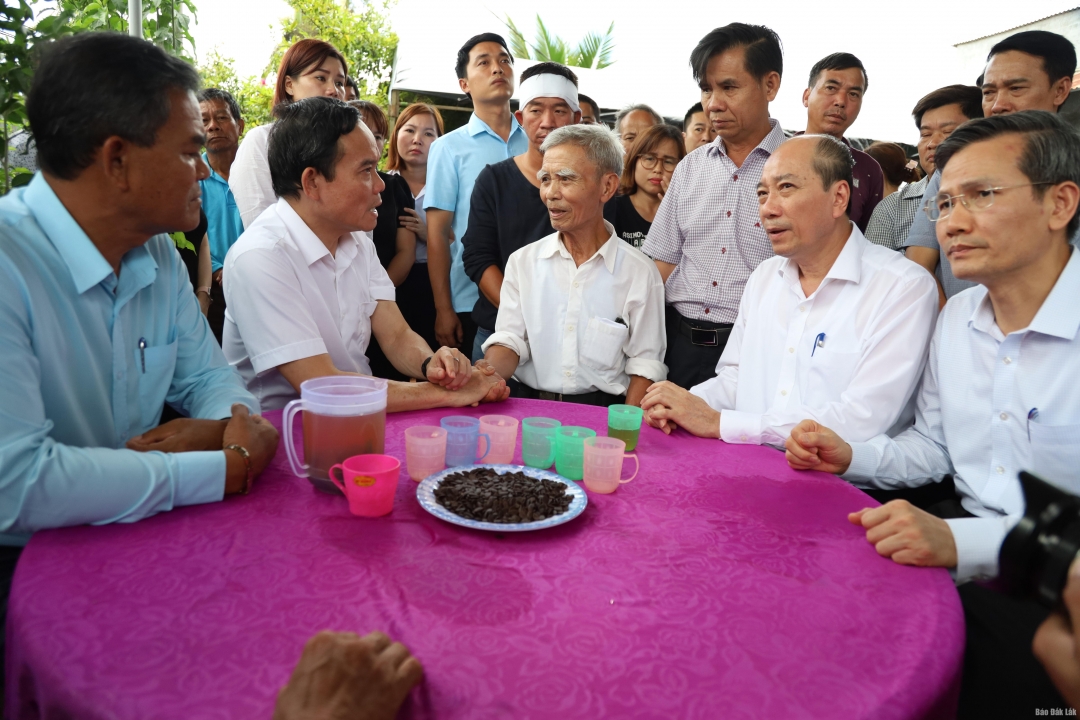 đồng chí Trần Lưu Quang, Ủy viên Trung ương Đảng, Phó Thủ tướng Chính phủ