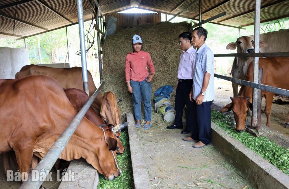 Cán bộ Phòng giao dịch Ngân hàng Chính sách xã hội huyện Lắk kiểm tra hiệu quả sử dụng vốn của hộ vay tại xã Bông Krang.