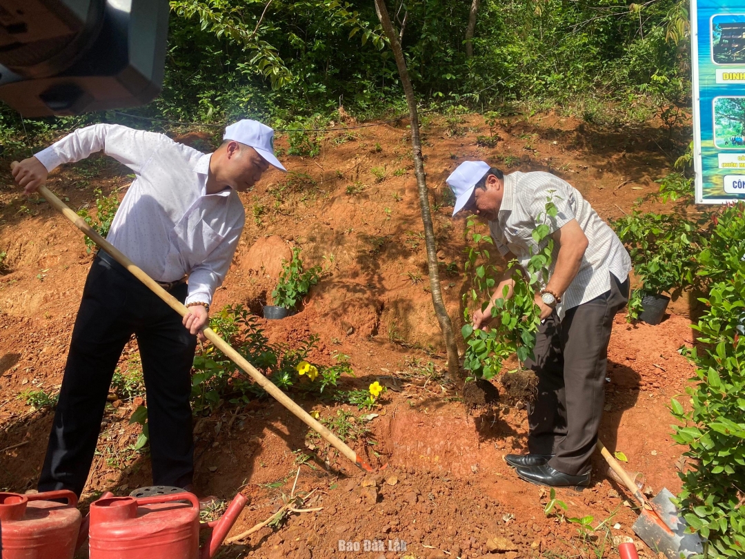 Bí thư Huyện ủy Lắk Nguyễn Văn Long cùng cán bộ huyện tham gia trồng cây sau buổi lễ.