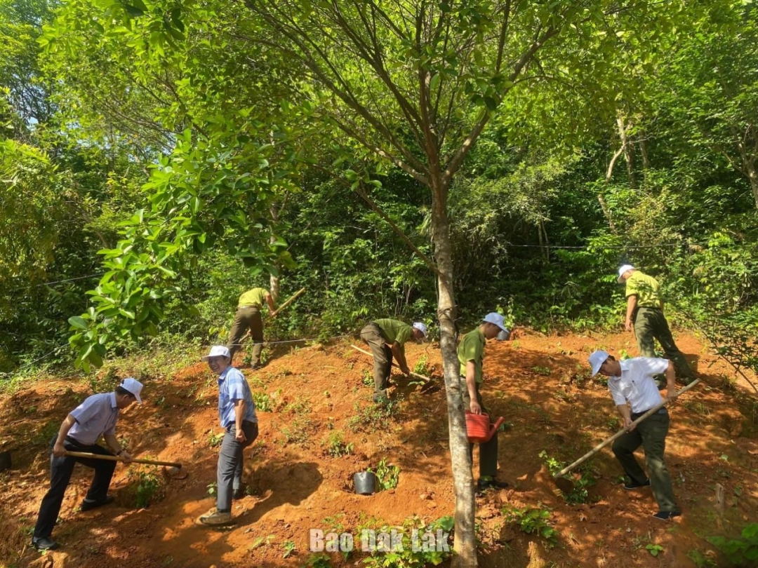 Đông đảo cán bộ, công chức, viên chức trên địa bàn huyện hưởng ứng trồng cây tại trục đường Âu Cơ, thị trấn Liên Sơn.