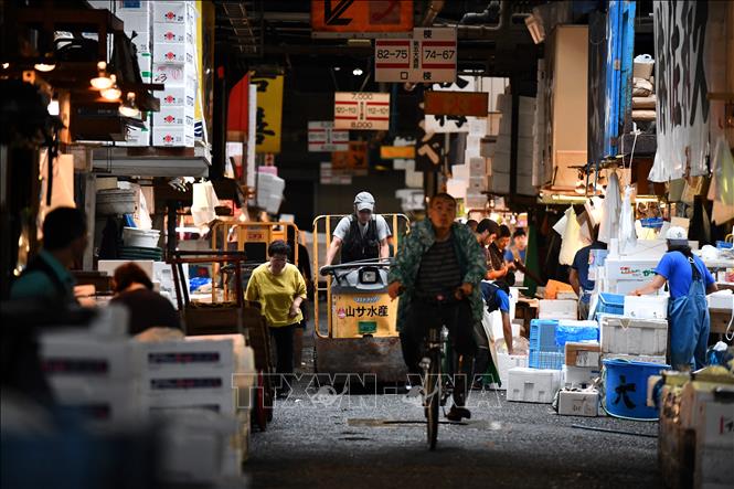 Người lao động làm việc tại chợ cá Tsukiji ở Tokyo, Nhật Bản. Ảnh: AFP/TTXVN