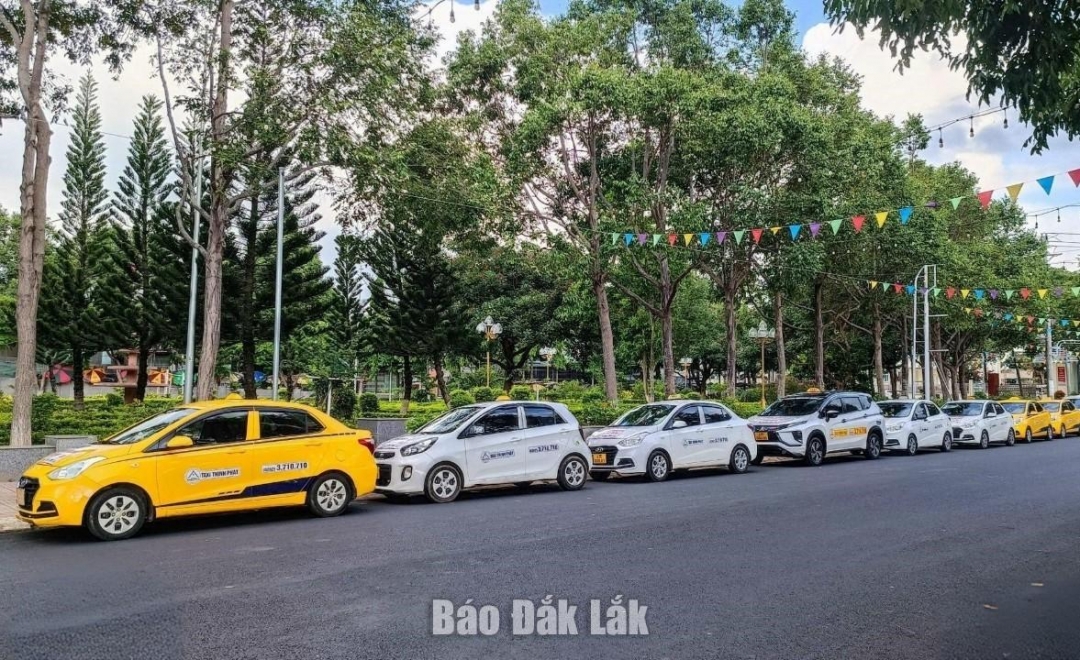 Tài xế và phương tiện của Hãng taxi Thịnh Phát chờ đón thí sinh tại điểm thi Trường THPT Lắk.