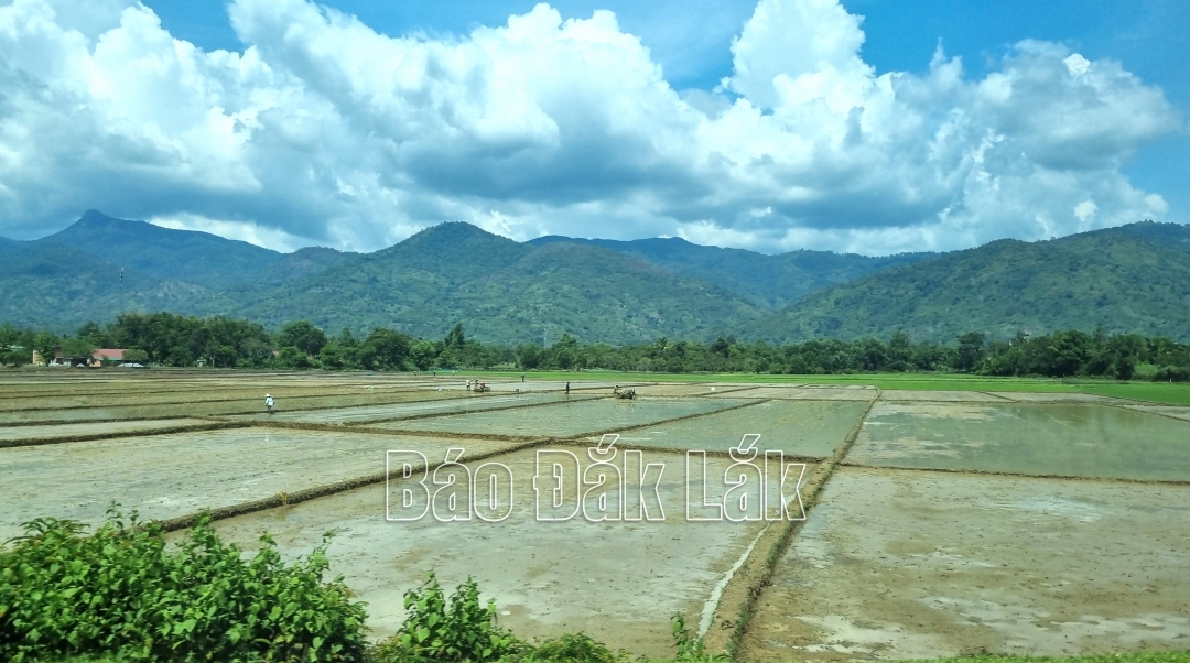 Nông dân trên địa bàn huyện Lắk đang chuẩn bị đất cho sản xuất vụ mùa 2024.