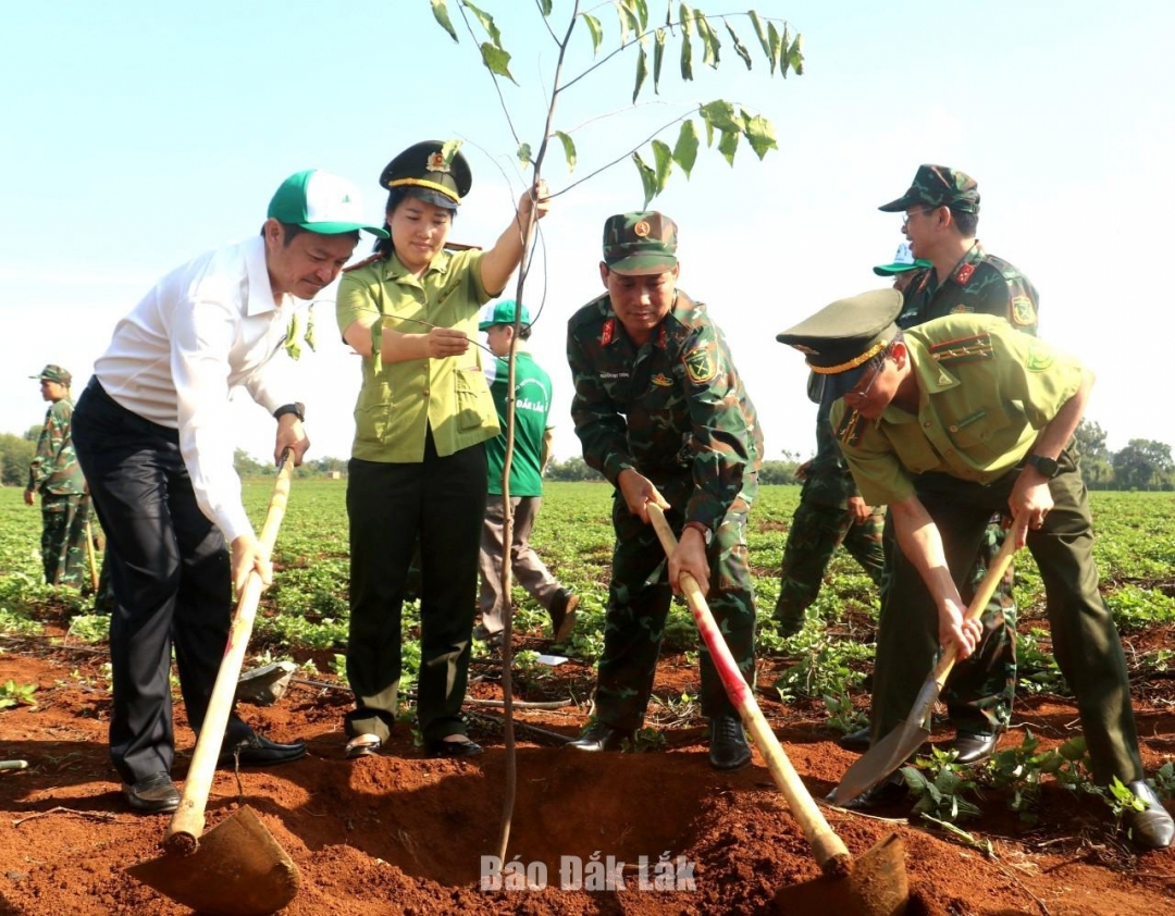 Lãnh đạo Sở NN-PTNT và Bộ chỉ huy Quân sự tỉnh trồng cây tại lễ phát động