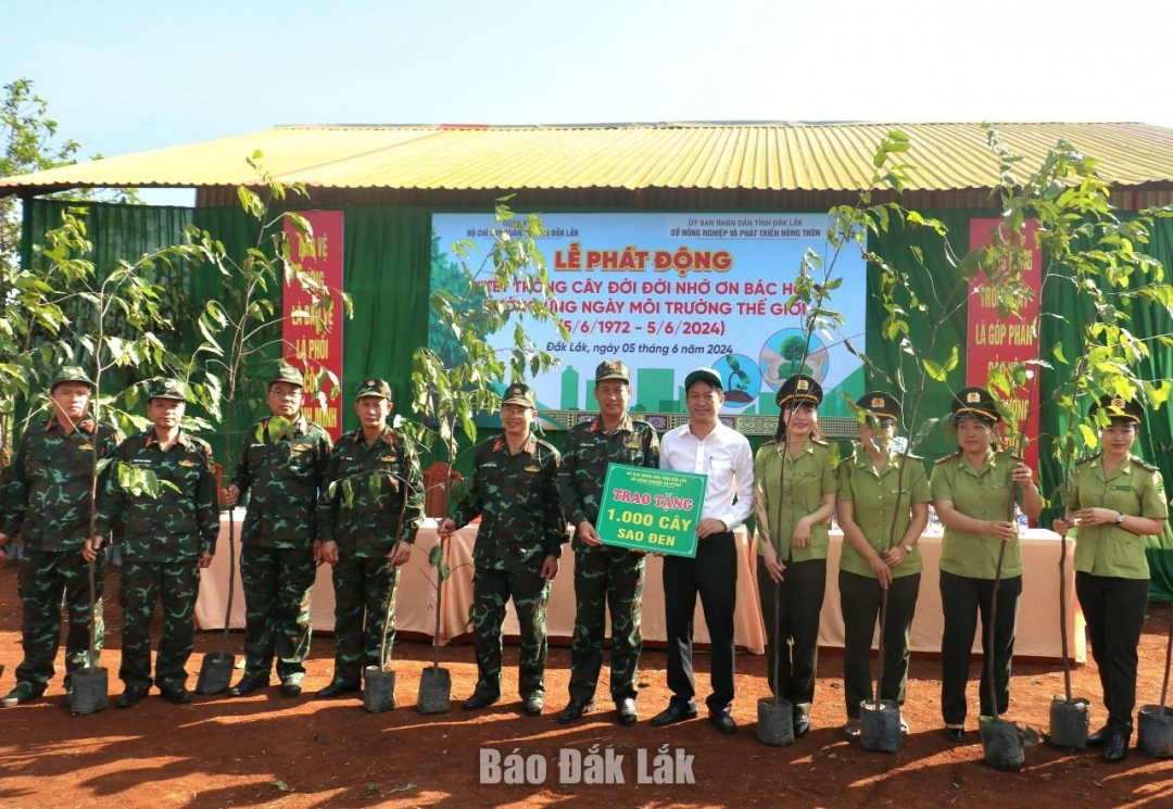 Đại diện lãnh đạo Sở NN-PTNT tặng 1.000 cây sao đen cho Bộ Chỉ huy Quân sự tỉnh tại lễ phát động