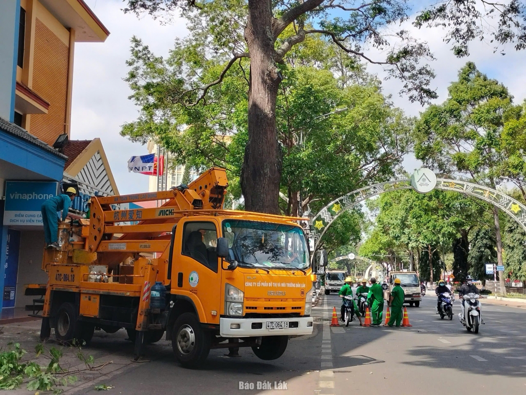 Công nhân Công ty Cổ phần Đô thị và Môi trường Đắk Lắk cắt tỉa cây xanh trên các tuyến phố.