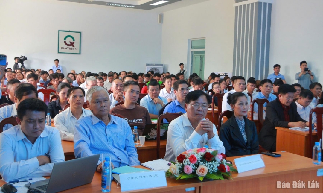 Các đại biểu tham dự hội nghị.
