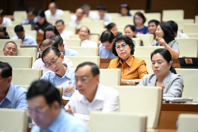 Đại biểu tham dự phiên làm việc. Ảnh: quochoi.vn