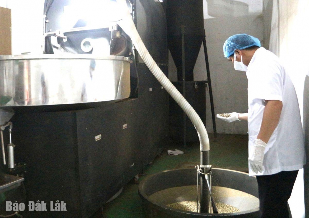 Một doanh nghiệp sản xuất cà phê đang hoạt động trên địa bàn TP. Buôn Ma Thuột.
