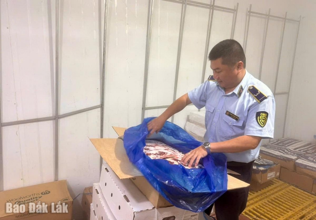Lực lương quản lý thị trường phát hiện một cơ sở kinh doanh thực phẩm đông lạnh không rõ nguồn gốc, xuất xứ tại phường Tân An, TP. Buôn Ma Thuột.