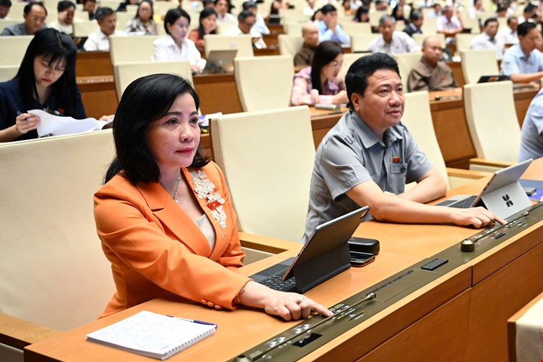 Đại biểu biểu quyết thông qua nghị quyết. Ảnh: quochoi.vn