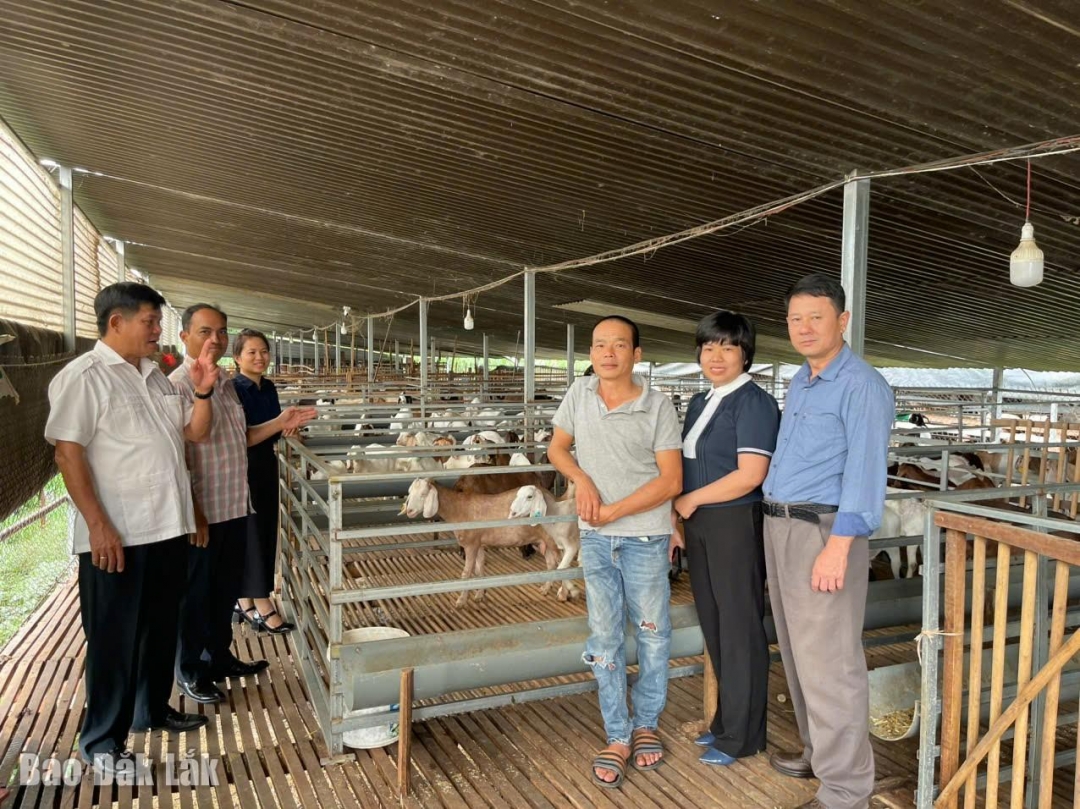 Đoàn giám sát đi khảo sát thực tế tại huyện Buôn Đôn.
