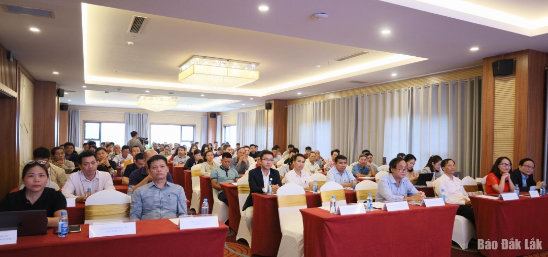 Các đại biểu tham dự hội nghị.