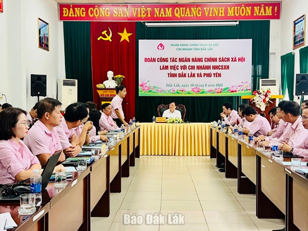 Tổng Giám đốc Ngân hàng Chính sách xã hội làm việc với chi nhánh Đắk Lắk và Phú Yên