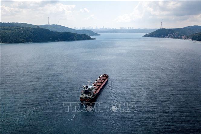  Tàu chở ngũ cốc di chuyển dọc Eo biển Bosphorus ngày 3/8/2022. Ảnh: AFP/ TTXVN