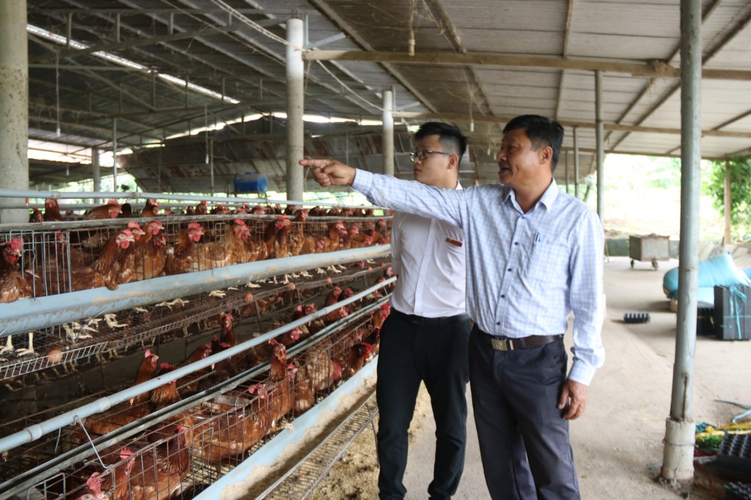 Cán bộ tín dụng Agribank Chi nhánh huyện Ea Kar thăm trang trại chăn nuôi gà của hộ ông Huỳnh Minh Dương (tổ dân phố 4, thị trấn Ea Kar).