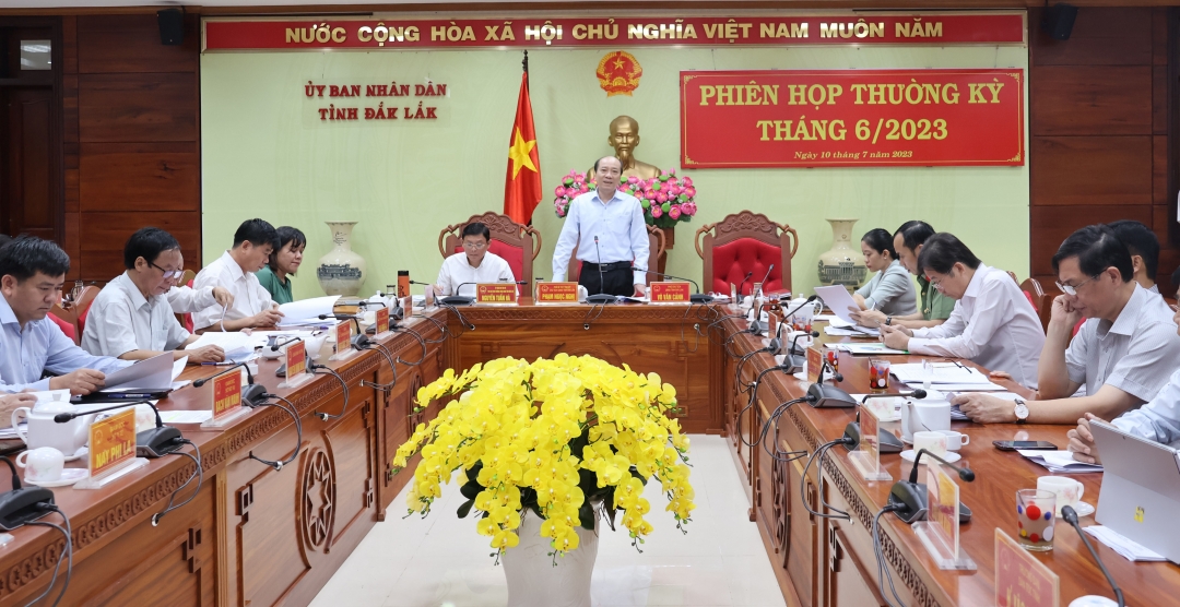 Chủ tịch UBND tỉnh Phạm Ngọc Nghị phát biểu tại phiên họp