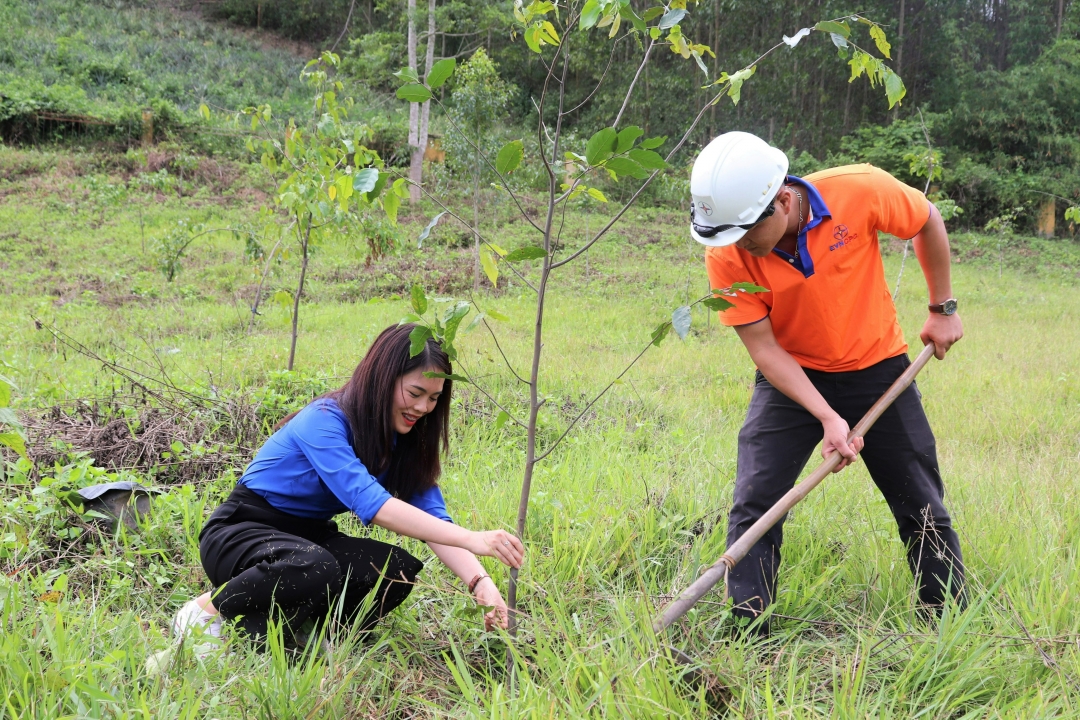 Cụm thi đua số 4 - Đoàn khối các cơ quan và doanh nghiệp tỉnh trồng cây xanh tại buôn Đắk Tu ôr, xã Cư Pui, huyện Kr ông Bông