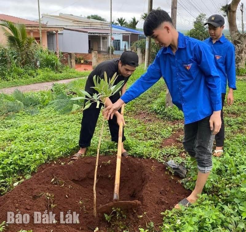 Đoàn viên thanh niên trồng cây xanh cảnh quan.