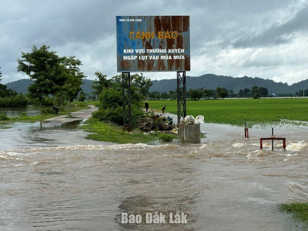 Một đoạn đường và cánh đồng trên địa bàn xã Đắk Liêng bị ngập lụt.