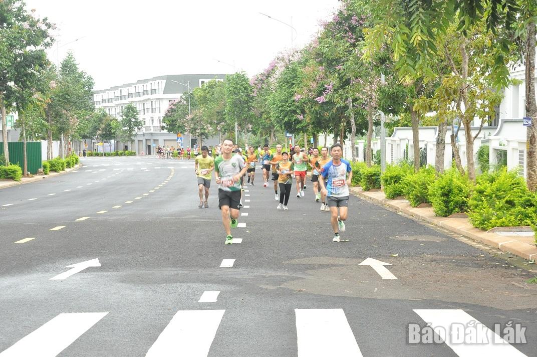 Các vận động viên tranh tài ở các cự ly.