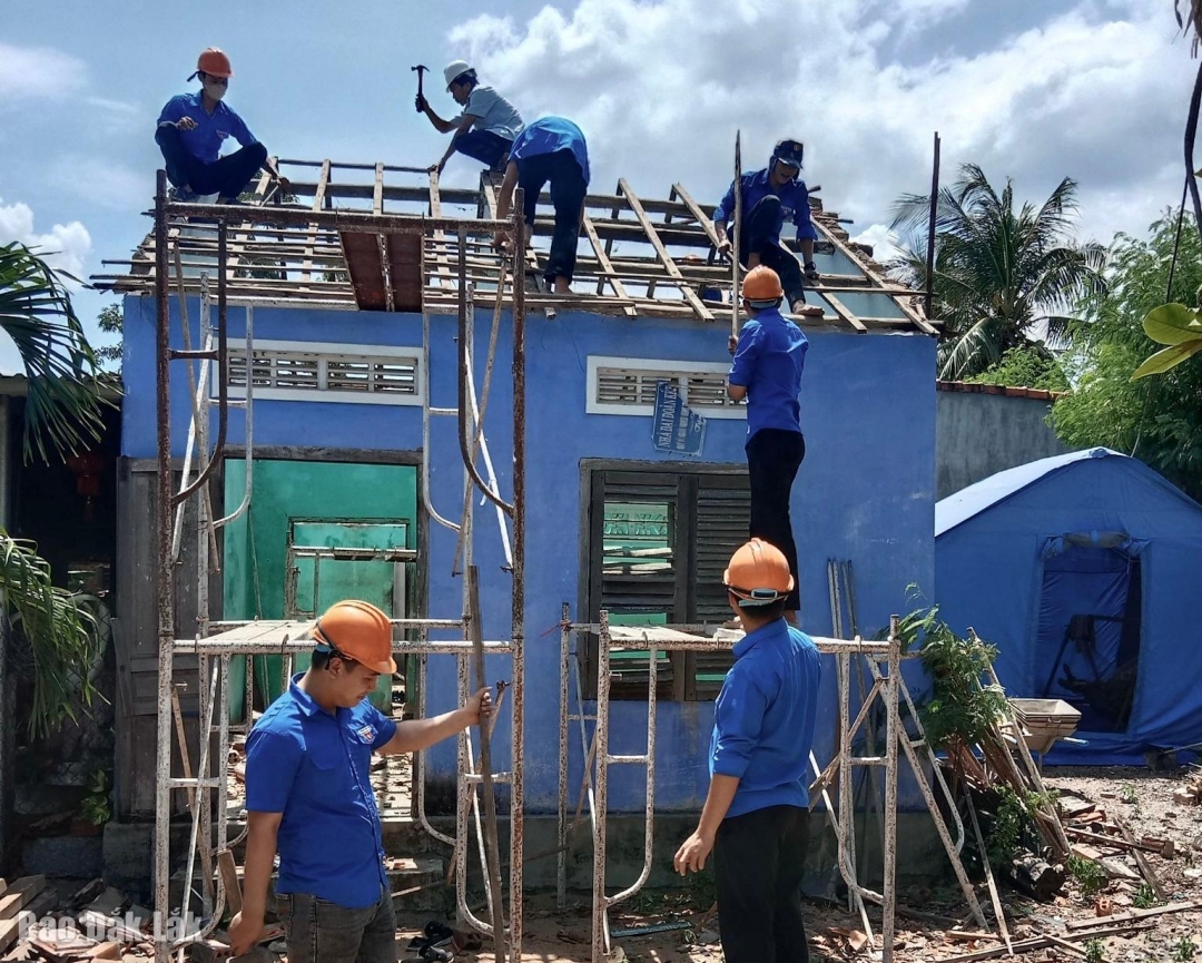 Đội hình thanh niên tình nguyện Mùa hè xanh Trường Đại học Xây dựng Miền Trung sửa chữa nhà ở cho hộ bà Nguyễn Thị Trúc, hiện đang sinh sống tại khu phố 4, phường Phú Yên.