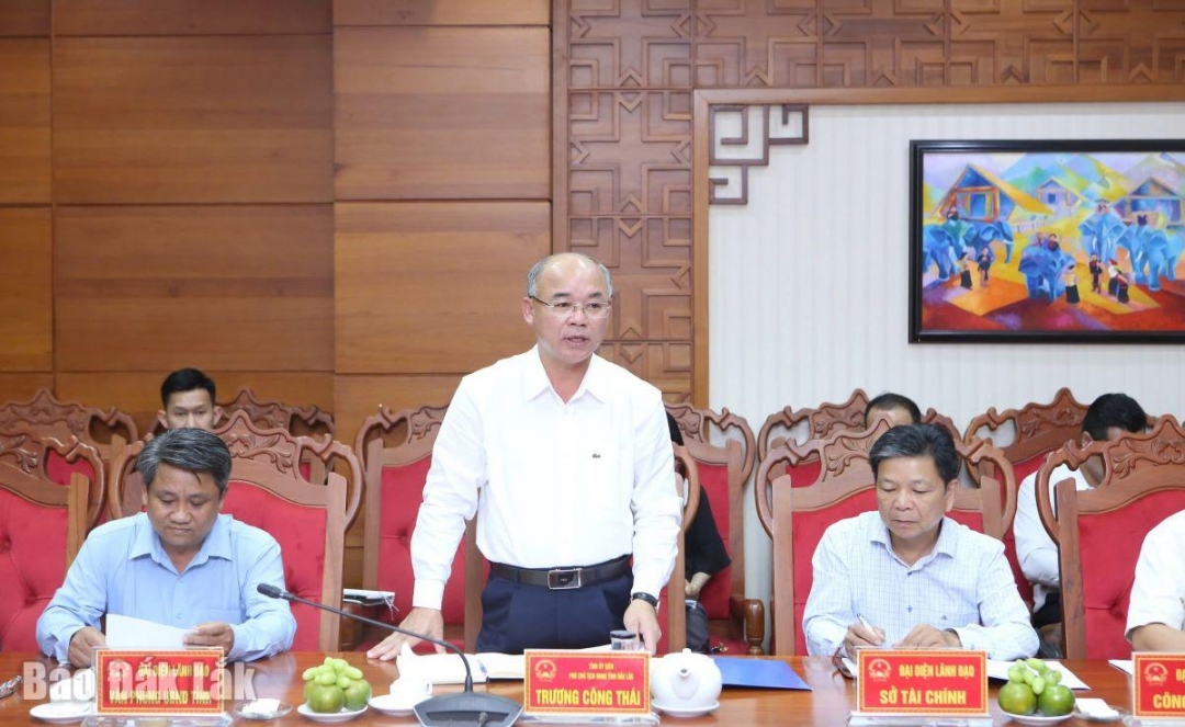 Phó Chủ tịch UBND tỉnh Trương Công Thái phát biểu tại buổi làm việc.