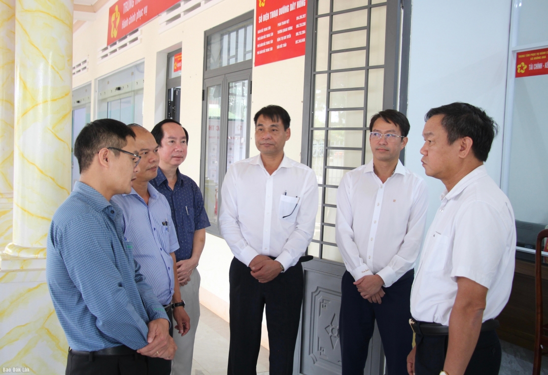 Phó Chủ tịch UBND tỉnh Đào Mỹ 