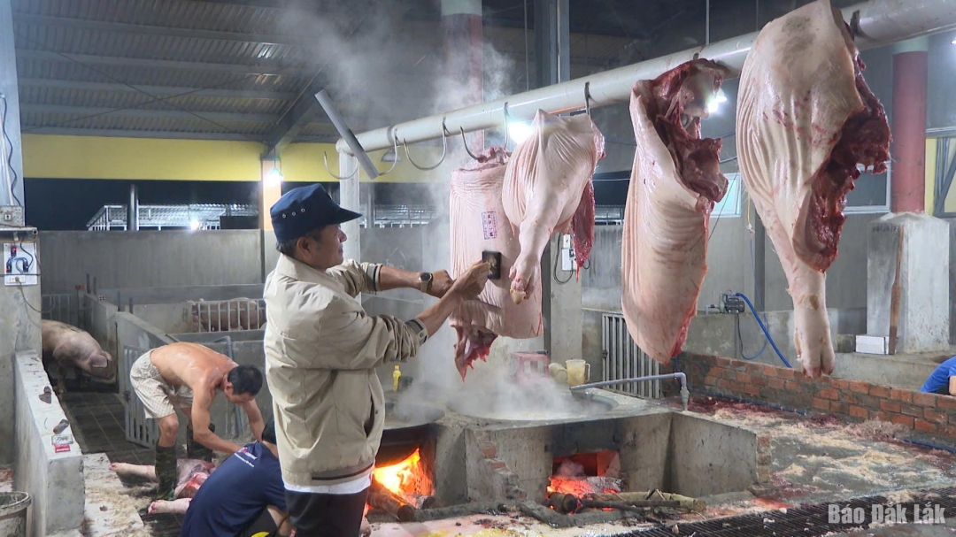Lực lượng cán bộ thú y