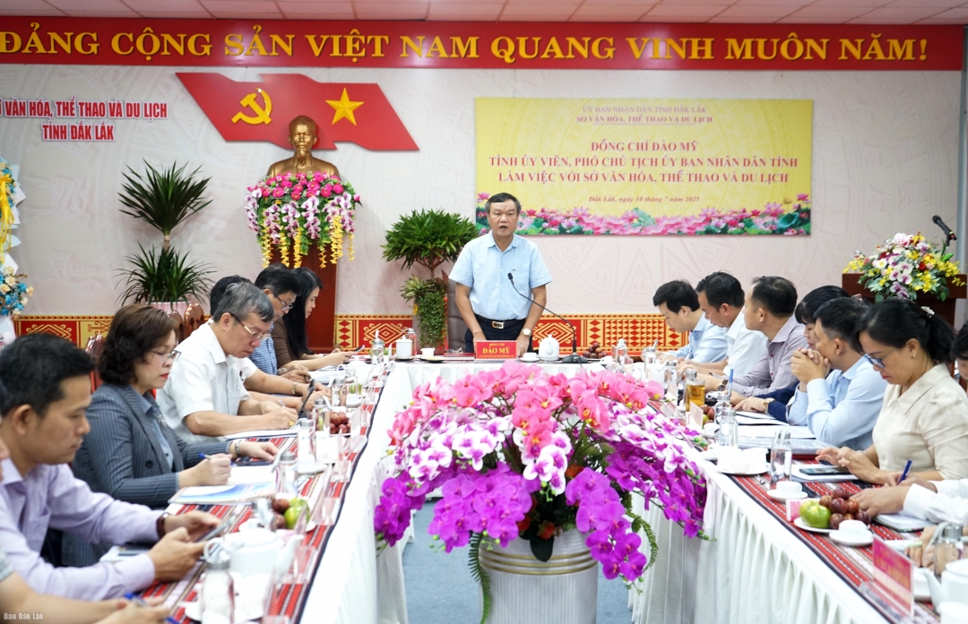 Đại biểu tham dự buổi làm việc