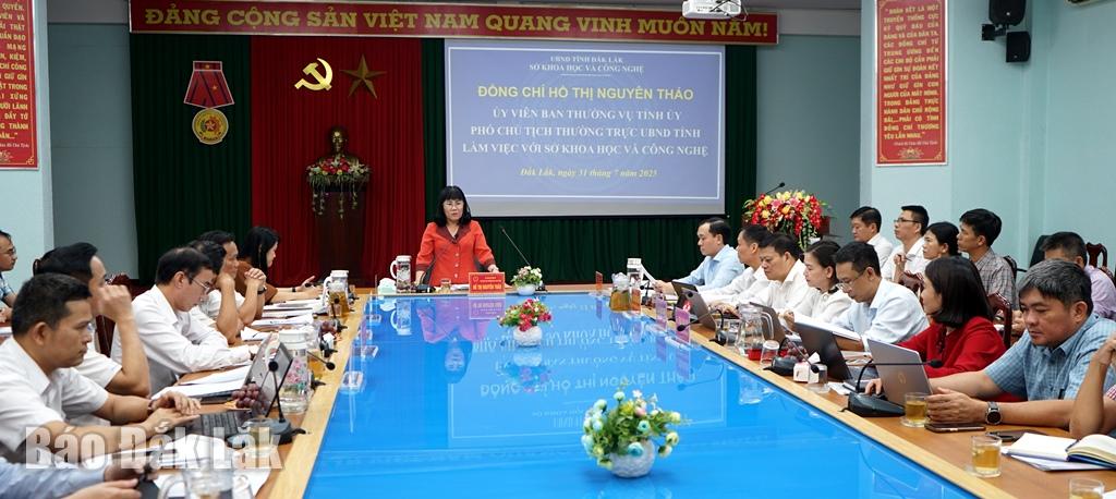 Đại biểu tham dự buổi làm việc