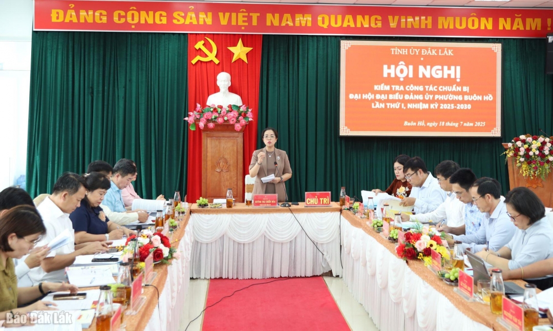 đồng chí Huỳnh Thị Chiến Hòa, Phó Bí thư Tỉnh ủy phát biểu chỉ đạo tại buổi làm việc.