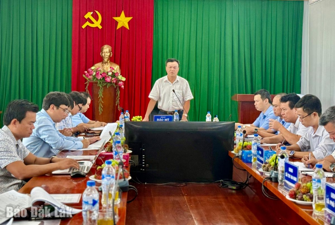 Phó Chủ tịch UBND tỉnh Đào Mỹ đề nghị các đơn vị đẩy nhanh tiến độ dự án đầu tư công.