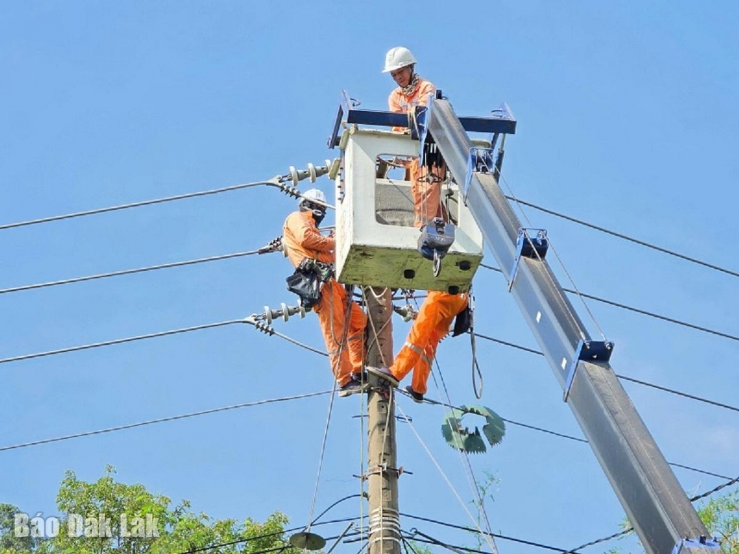 Công nhân Công ty Điện lực Đắk Lắk thi công sửa chữa trên lưới điện