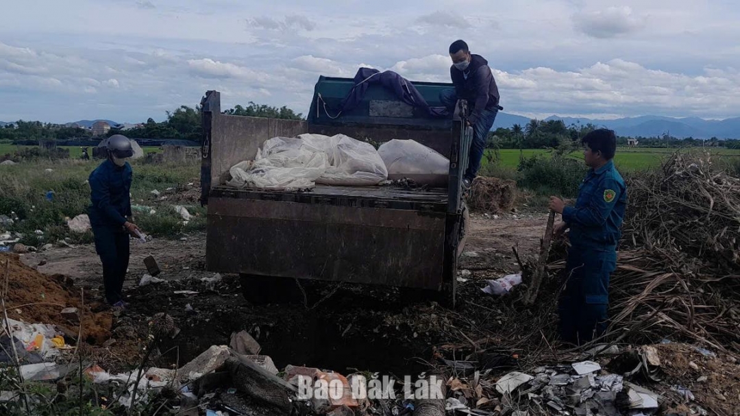 Đưa xác heo ra bãi rác tiêu hủy