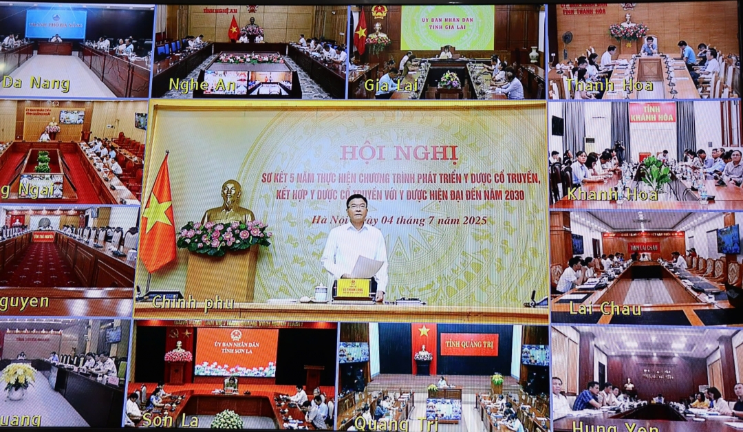 Phó Thủ tướng Chính phủ Lê Thành Long chủ trì hội nghị. (ảnh chụp qua màn hình)