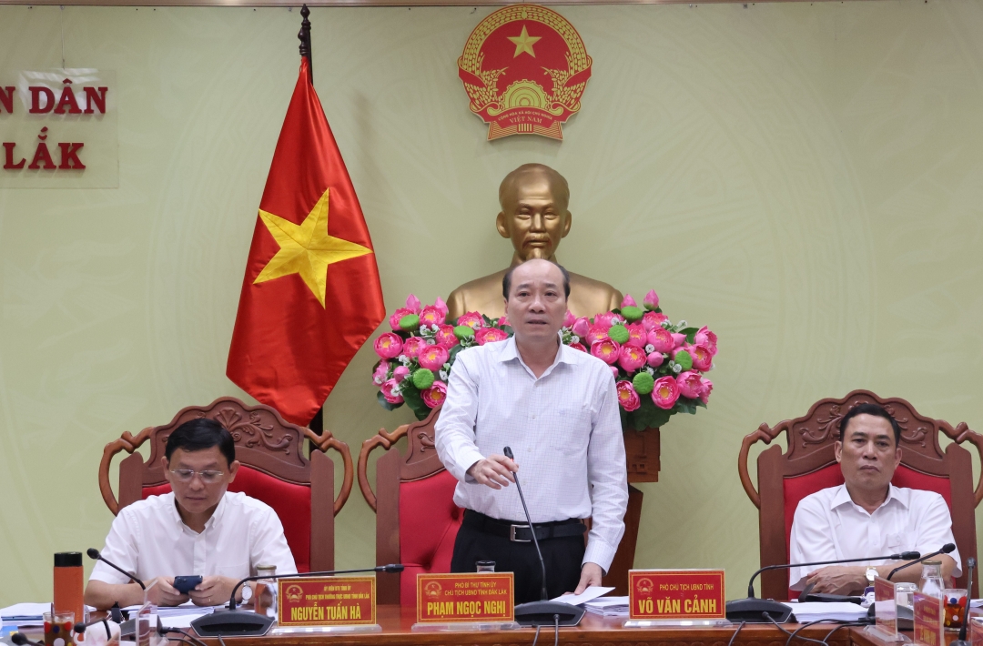 Chủ tịch UBND tỉnh Phạm Ngọc Nghị phát biểu chỉ đạo tại phiên họp