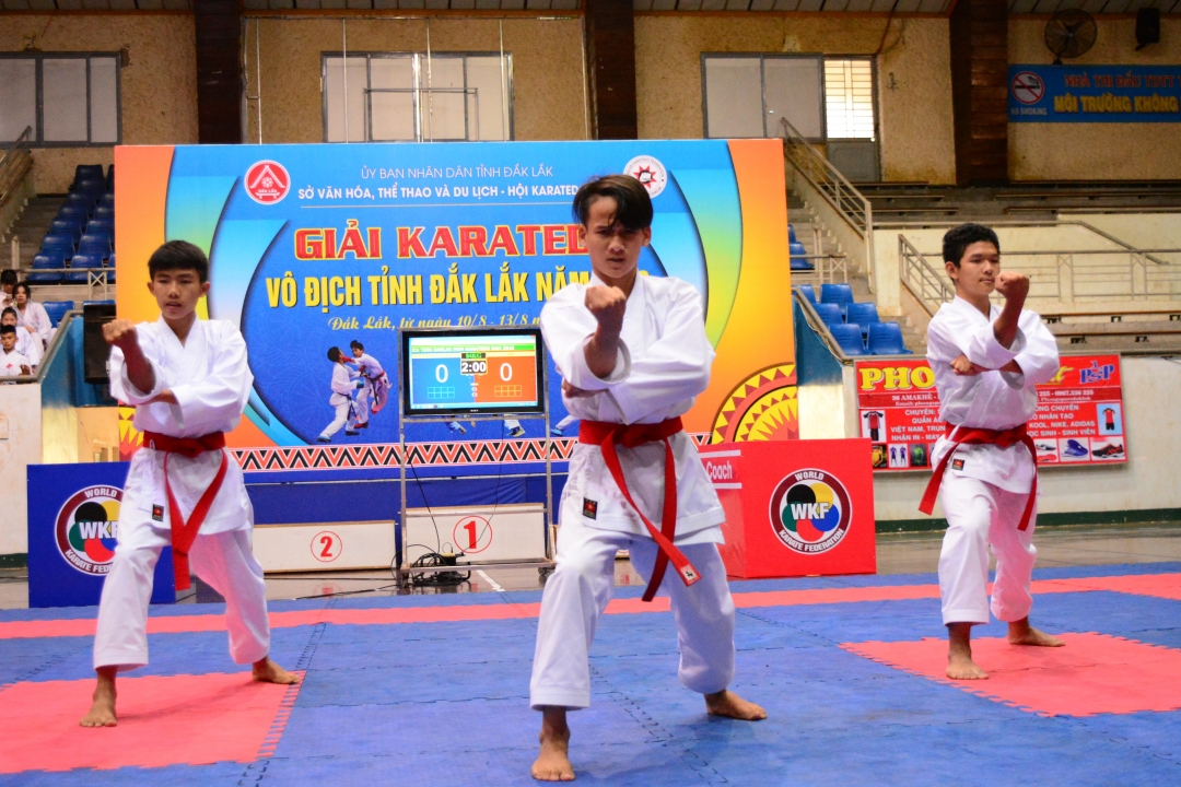 Các vận động viên tranh tài tại Giải Karate tỉnh