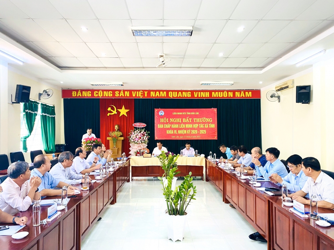 Các đại biểu tham dự hội nghị. 